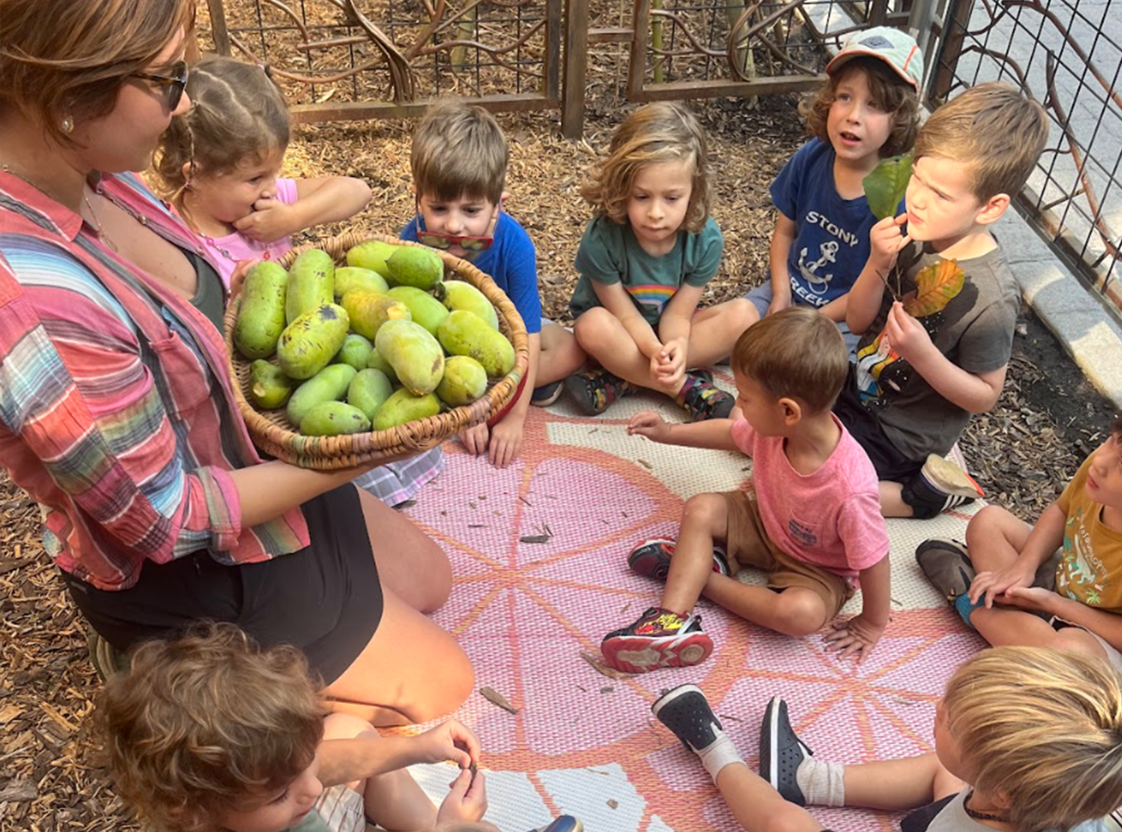 Admissions at Mead Montessori School