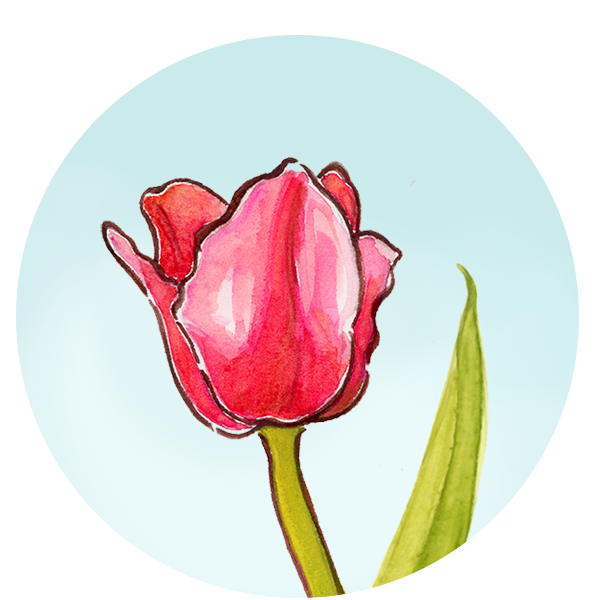 MEADMontesorri_todaysmontessori